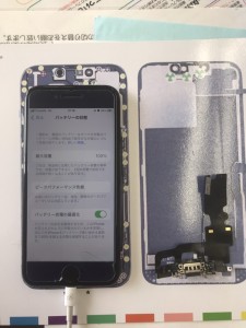 S__5537805